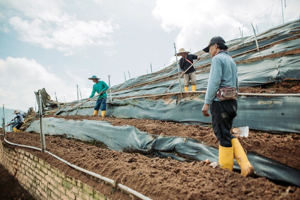Asian male farmers use garden hoe digging the soil fields on hillsides